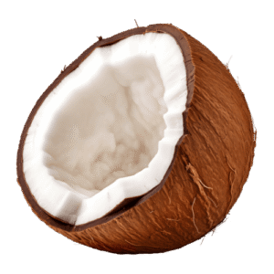 Dried Coconut Slices (Narial) – 500g